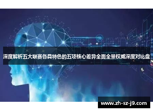 深度解析五大联赛各具特色的五项核心差异全面全景权威深度对比盘