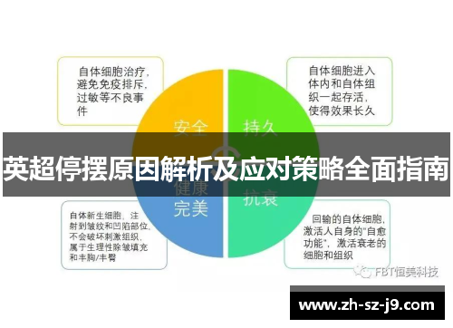 英超停摆原因解析及应对策略全面指南
