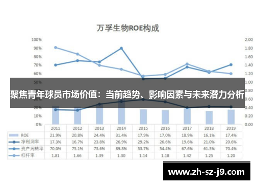 聚焦青年球员市场价值：当前趋势、影响因素与未来潜力分析