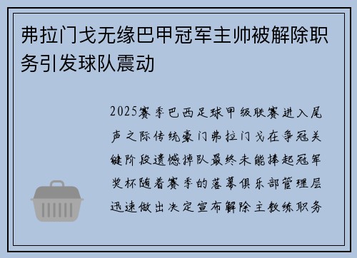 弗拉门戈无缘巴甲冠军主帅被解除职务引发球队震动 弗拉门戈无缘巴甲冠军主帅被解除职务引发球队震动